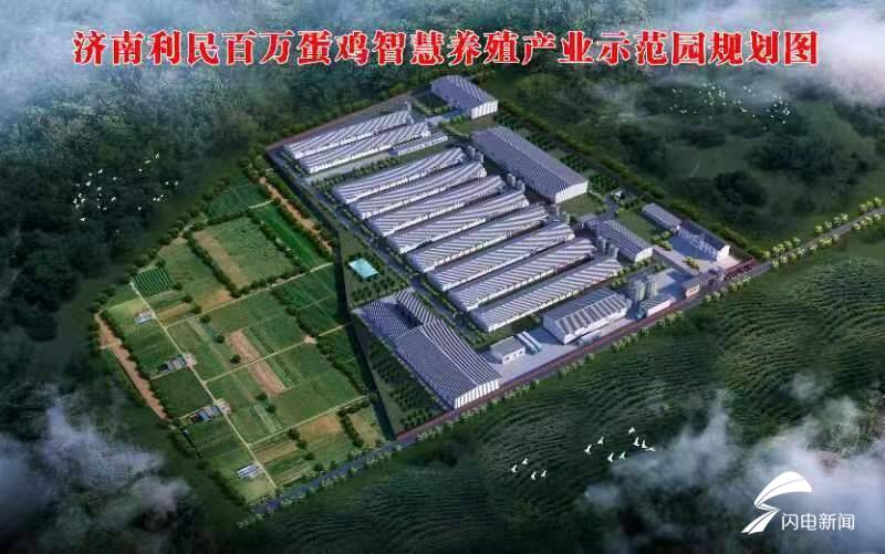 2万只蛋鸡养殖场设计