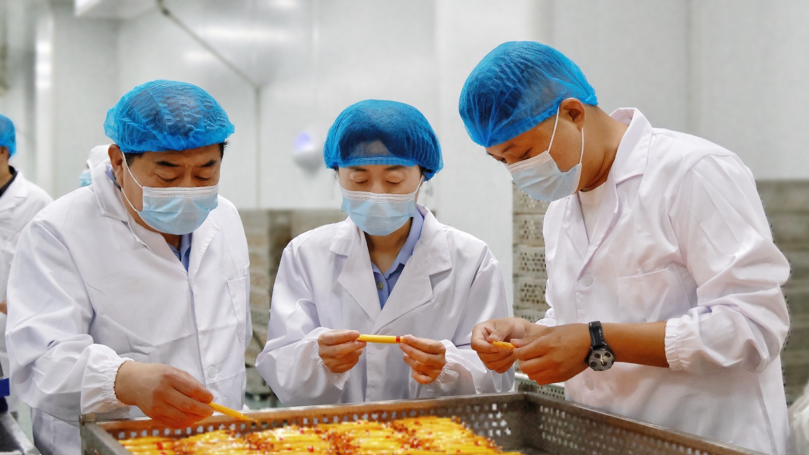 肉制品加工属于什么行业类别