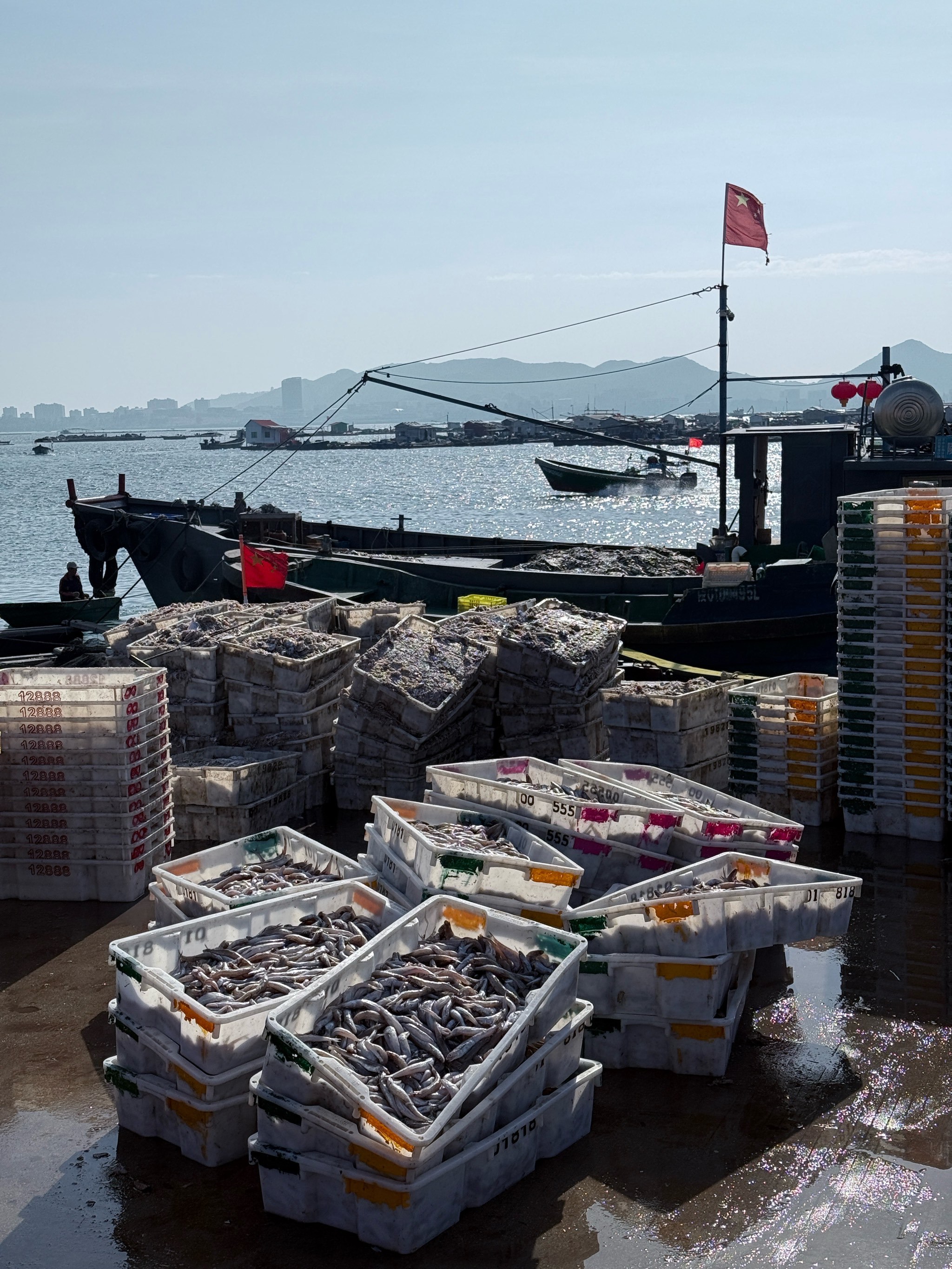 高淳水产批发市场