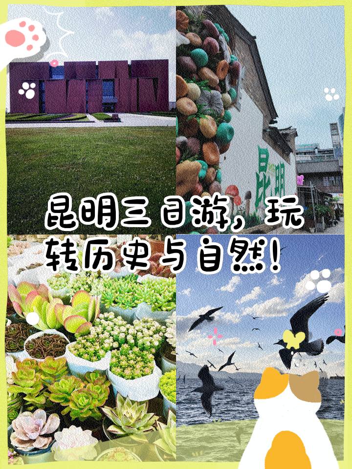昆明三日游最佳攻略